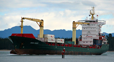 Small container ship Amur River arriving in Tauranga, New Zealand